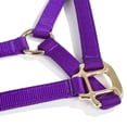 thumbnail image 3 of Intrepid International Miniature Horse Nylon Halter-Large.Mini Purple, 3 of 3