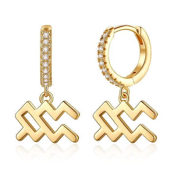 TINGN Aquarius Earrings Huggie Hoop S925 Sterling Sliver Post Horoscope Zodiac Earrings