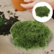 thumbnail image 5 of 1 paquete de musgo artificial para manualidades. Musgo sintético realista. Decoración de plantas verdes para proyectos de bricolaje en micro paisajes., 5 of 8