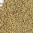 thumbnail image 2 of Certified Organic Alfalfa Sprouting Seed- 8 Oz - Handy Pantry Brand - High Sprout Germination- Edible Seeds, Gardening, Hydroponics, Growing Salad Sprouts, Planting, Food Storage & More, 2 of 8