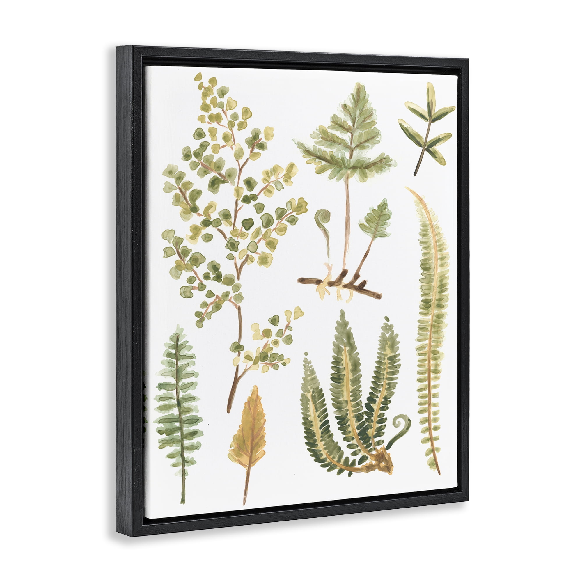 Stupell Industries Wild Forest Ferns Botanical & Floral Painting Black Floater Framed Art Print Wall Art, 17 x 21