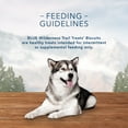 thumbnail image 5 of Blue Buffalo Wilderness Trail Treats Crunchy Dog Biscuits, Grain-Free, Turkey, 36-oz., 5 of 8