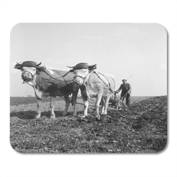 NUDECOR Plow Man Plowing Field Ox Drawn Plough 1930S Agriculture Mousepad Mouse Pad Mouse Mat 9x10 inch