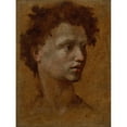 thumbnail image 2 of Domenico Beccafumi 19x24 Gold Ornate Framed and Double Matted Museum Art Print Titled - Head of a Youth (1530), 2 of 4