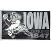 WinCraft University of Iowa Hawkeyes 3 x 5 Sports House Flag