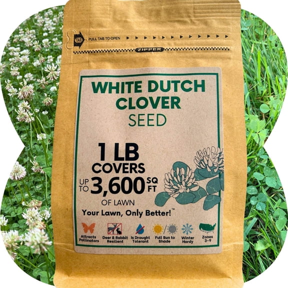 Flawn Seed Kits 1 lb, Dutch White Clover Organic Coated, Non-GMO, Flower Seeds, Perennial Ground Cover, Covers up to 3600 Sqft
