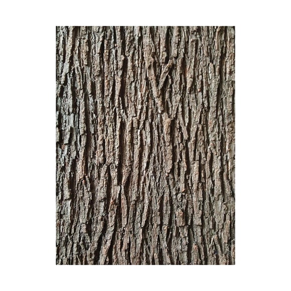 simhoa Artificial Tree Bark Simulation Cuttable Wrap Covering Tubes Faux Plant Bark Tree Decoration for Floors Walls Indoor Outdoor 100cmx20cm
