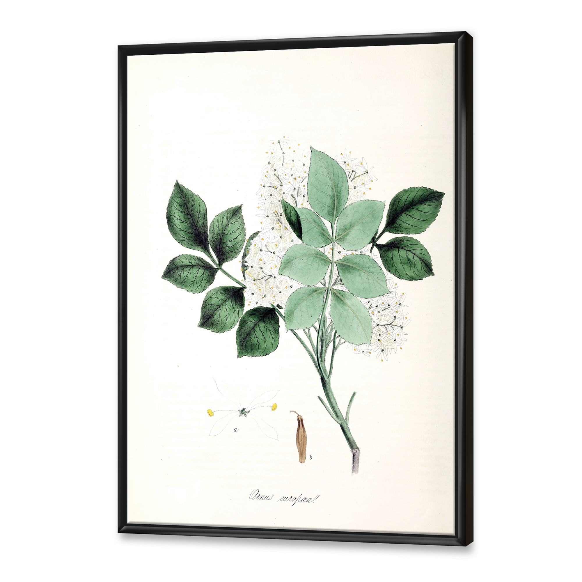 Designart 'Ancient Blossoming Flower IV' Farmhouse Framed Canvas Wall Art Print