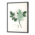 thumbnail image 3 of Designart 'Ancient Blossoming Flower IV' Farmhouse Framed Canvas Wall Art Print, 3 of 5