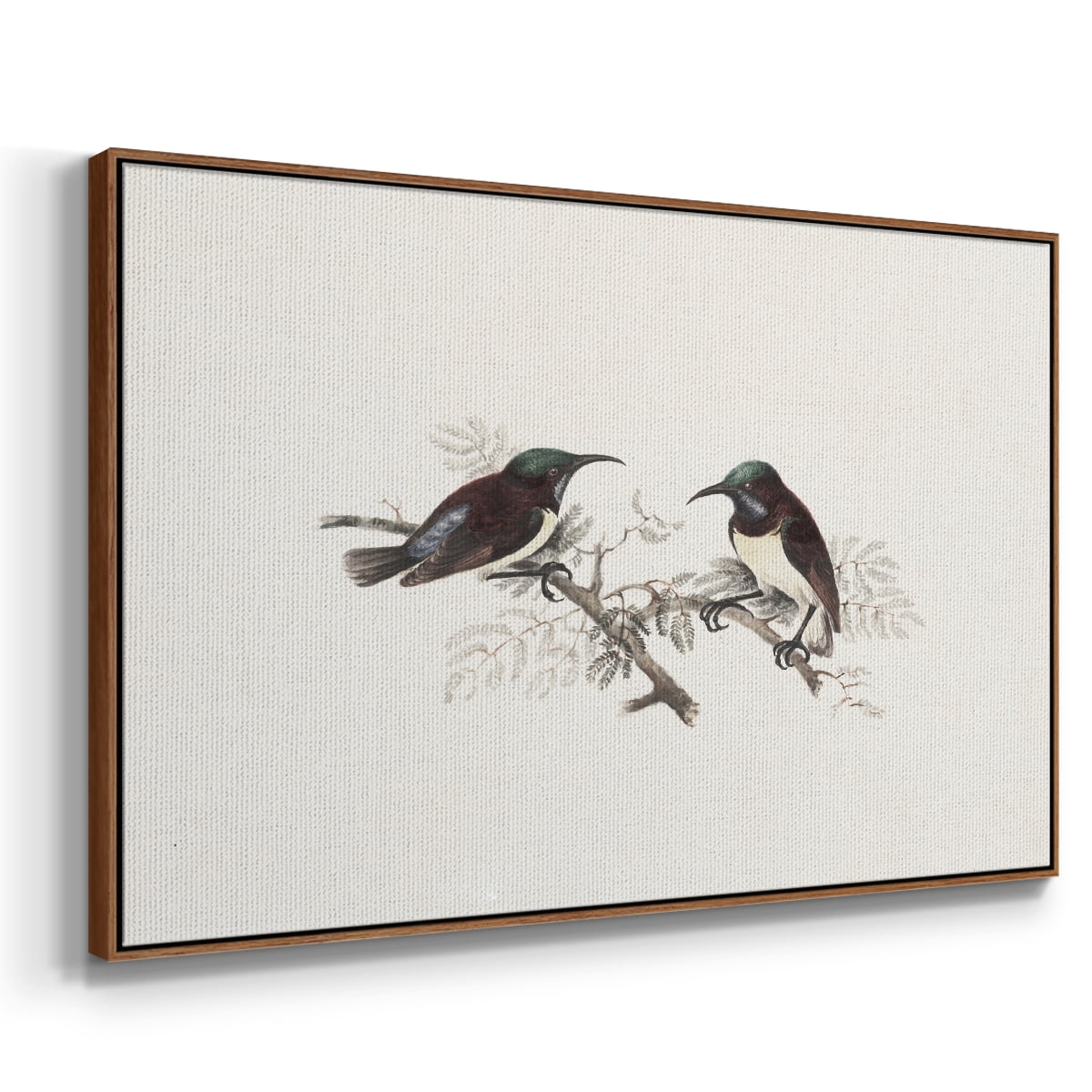 Vintage Animal Print-III By Wexford Home Framed in Walnut Wood Gallery Wrapped Canvas 17 in. x 25 in.