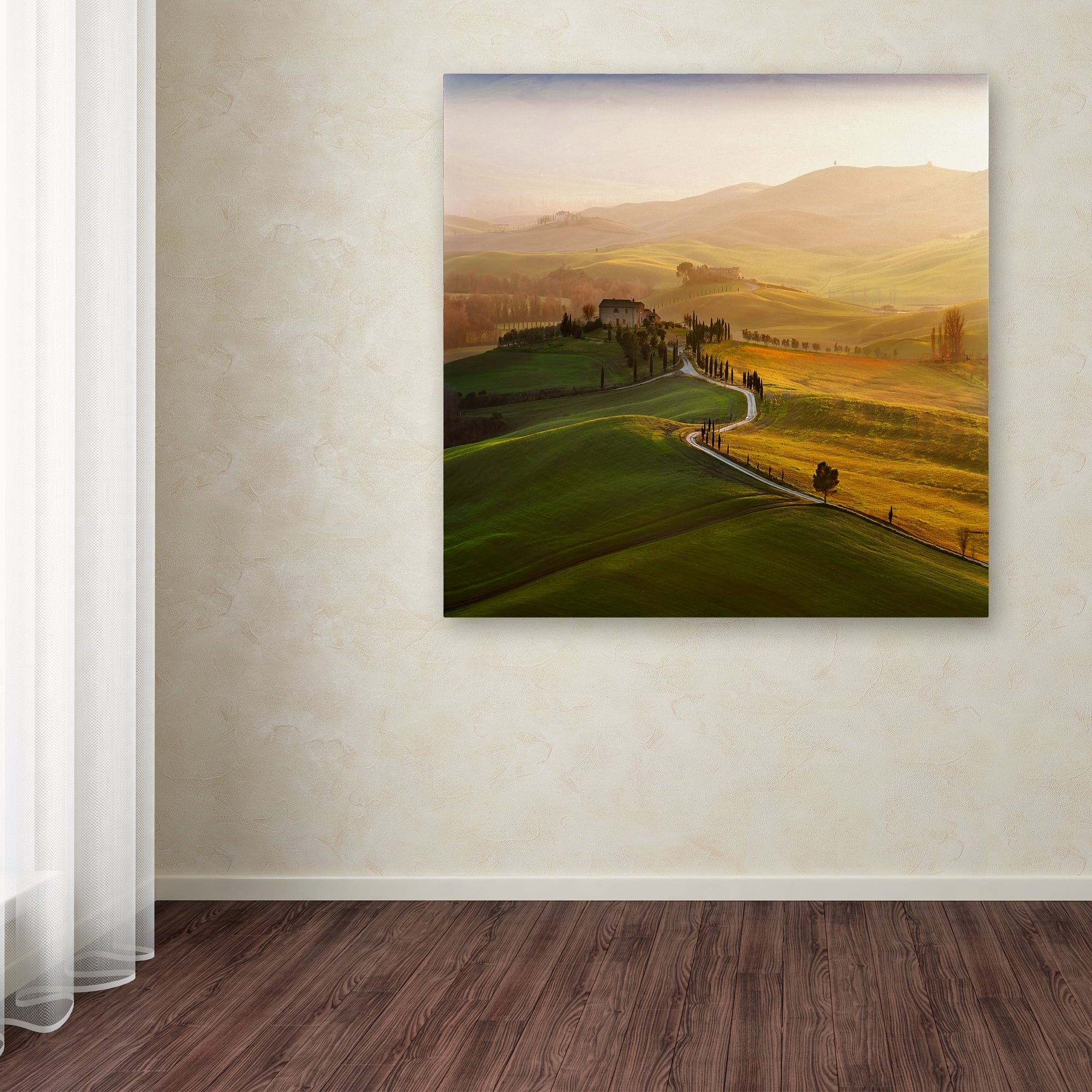 Trademark Fine Art 'Val D' Canvas Art by Jarek Pawlak