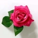 thumbnail image 3 of GOOHOCHY 3 horquillas de rosas hawaianas, broches de flores para fiestas, accesorio para hacer tú mismo, adorno para el cabello (rojo claro), 3 of 8