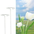 thumbnail image 3 of Plant Rack Anti-corrosion Good Loading Capacity Metal Vine Growth Climbing Trellis Garden Supplies, 3 of 7