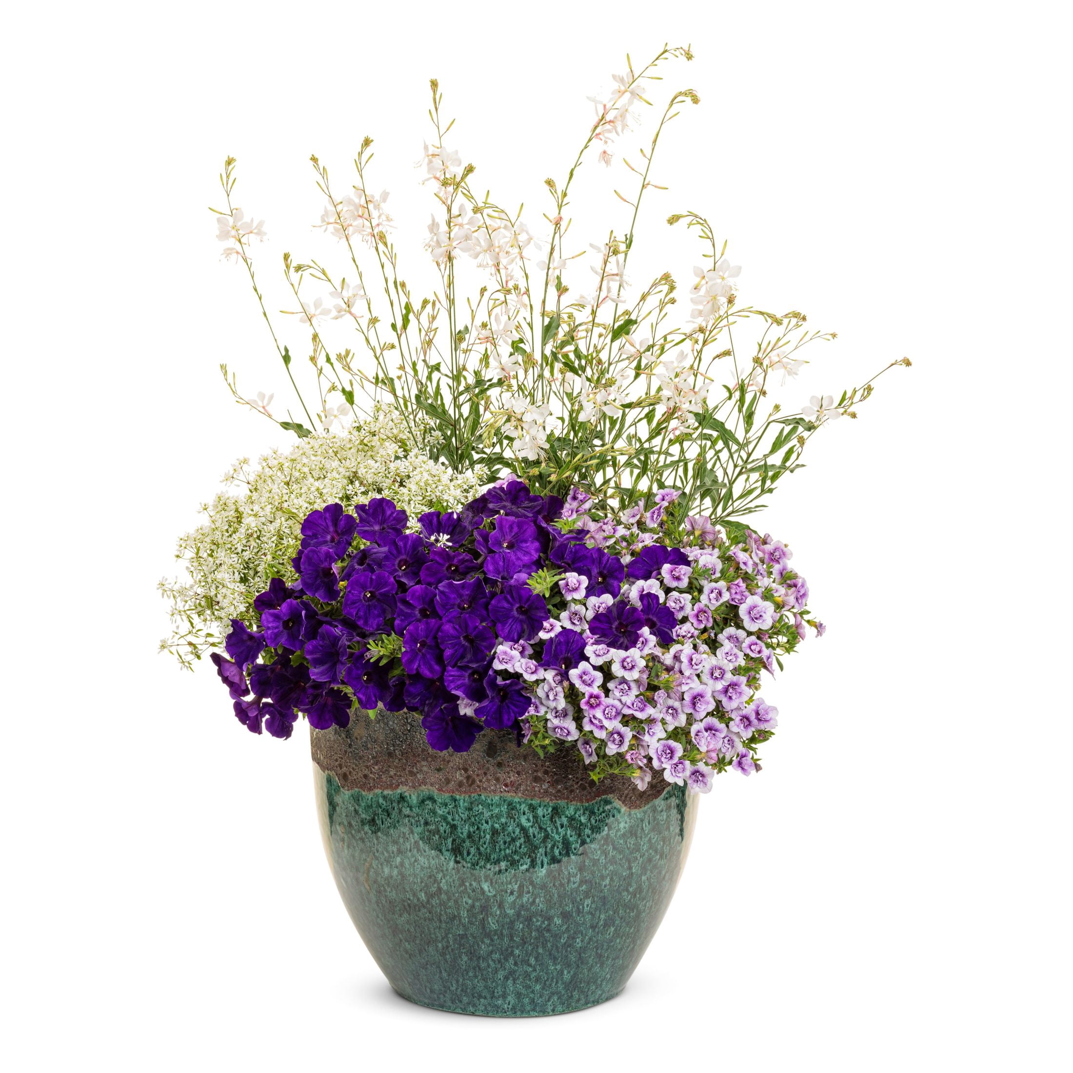 Proven Winners 4" Purple Superbells Double Twilight Calibrachoa Live Plant in 4.25" Pot (4 Count)