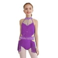 thumbnail image 2 of Yhong Robe de Danse Latine à Franges pour Filles, Justaucorps Sans Manches Scintillant, Jupe à Franges, Tenue de Danse Tango Rumba Samba Violette 16, 2 of 5