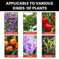 thumbnail image 6 of Rooting Hormone For Cuttings Plant Growth Activators Supplements Liquid Fertilizer Spray 50Ml, Boosts Rooting Hormones & Enhances Growth For Cuttings, 50Ml Liquid Formula For Home, 6 of 9