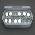 thumbnail image 1 of Bandeja de huevos para reptiles Caja de huevos para reptiles Caja de reproducción para rept Tomshoo abdominales, 1 of 7