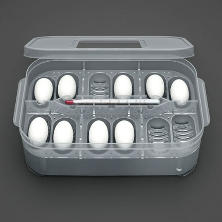 Reptile Egg Tray Reptile Egg Box Reptile Breeding Box Reptile Incubation Box Suitable for Hatching Snake Lizards Reptiles with
