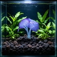 thumbnail image 1 of Decoración de Anémona Marina Que Brilla En La Oscuridad para Acuarios: Adorno Luminoso de Silicona Suave para Peceras de Agua Dulce, Salada, Bettas y Camarones., 1 of 6