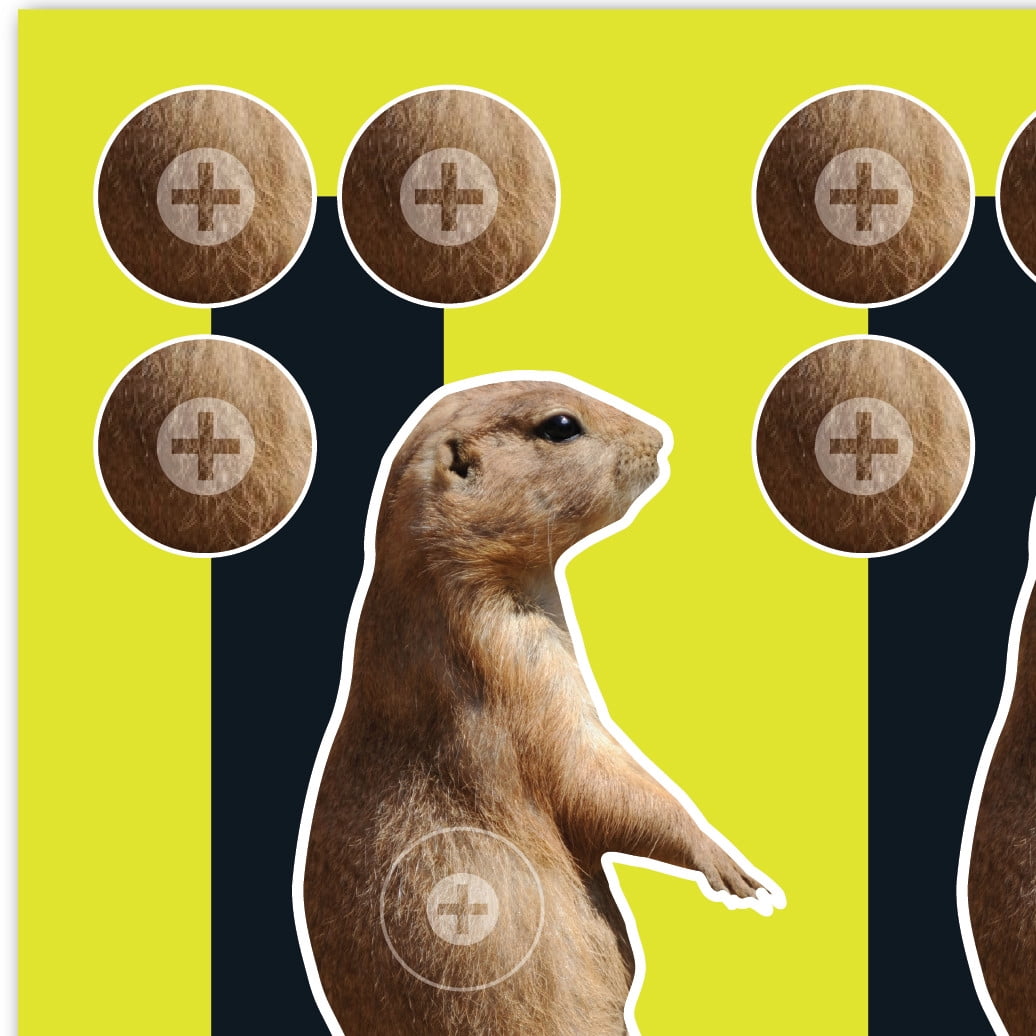 Ez Aim Splash Reactive Paper Shooting Targets, Prairie Dog Target, 8" x 8", 6-Pack, 2 Pack