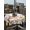 Ivory, variant on Outdoor Tablecloth with Umbrella Hole and Zipper, Easter Rectangle Table Cloth 60x102 Inch Waterproof Tablecloth, Spring Watercolor Tulip Butterfly Flower Plant Picnic Table Cover for Patio Camping