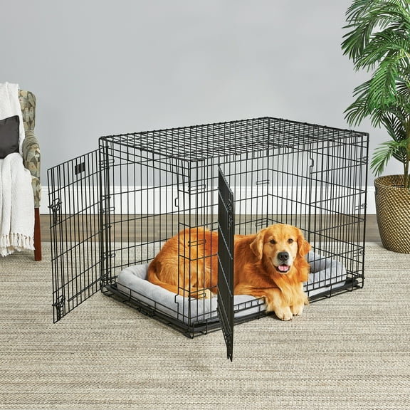 Midwest Homes for Pets LifeStages Double Door Folding Metal Crate with Divider, Floor Protecting Feet, Leak-Proof Pan, 42 x 28 x 31 inches, Suitable for Large Breed Dogs