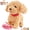 Yellow, variant on Realistic Robot Dogs Stuffed Animals, Interactive Walking Plush Puppy Toys Dog with Touch Sensing, Sounds, Voice Mimic, Tongue & Licking Motion (Brown)
