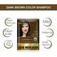 thumbnail image 3 of Herbishh Natural Hair Color Shampoo for Gray Hair - Argan Hair Mask, Travel Size, Long-Lasting Color, Ammonia-Free, 10 Pack + 1 Pack (Dark Brown), 3 of 7