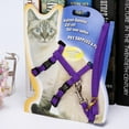 thumbnail image 3 of 2 Ensembles de Laisses pour Animaux Harnais Ajustables Sangle en Nylon Robuste Laisses pour Chat avec Harnais pour la Marche, 3 of 3