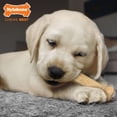 thumbnail image 2 of Nylabone Puppy Chew Combo Pack, 2 of 4