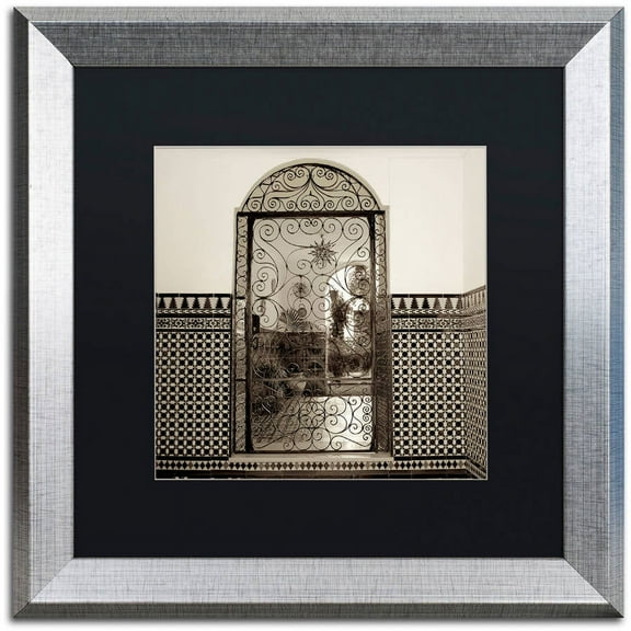 Trademark Fine Art "Cordoba I" Canvas Art by Alan Blaustein, Black Matte, Silver Frame