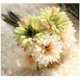 thumbnail image 1 of Flores artificiales Gerbera flores artificiales Daisy novia dama de honor sosteniendo flores 7 tallos de seda Afortunado Sencillez, 1 of 3