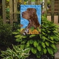 thumbnail image 2 of Carolines Treasures SS4159-FLAG-PARENT Field Spaniel Flag  multicolor, 2 of 2