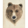 thumbnail image 2 of Popp, Grace 12x14 White Modern Wood Framed Museum Art Print Titled - Watercolor Animal Study VI, 2 of 4