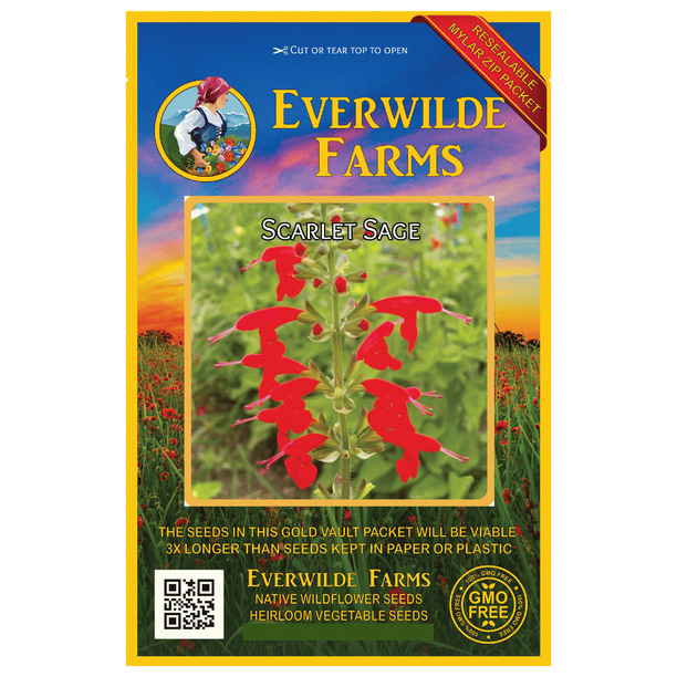 Everwilde Farms 1000 Scarlet Sage Native Wildflower Seeds Gold