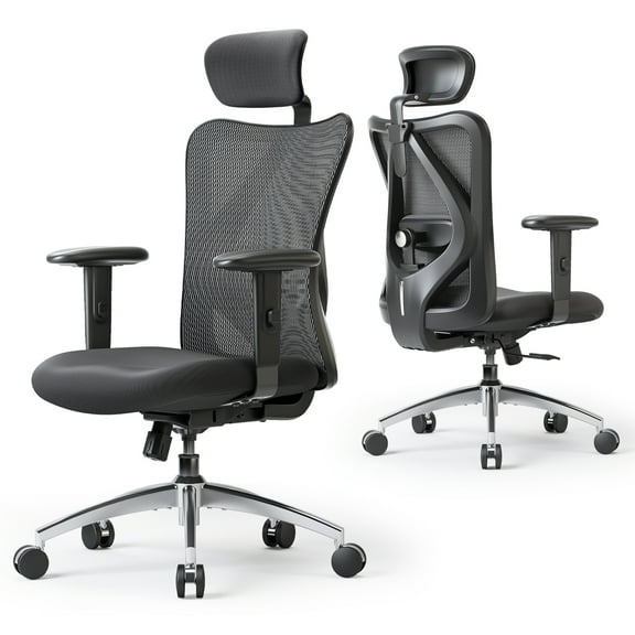 SIHOO M18 Office Chair, Mesh Computer Ergonomic Chair with Adjustable Lumbar Support, High Back Chair for Big and Tall, Black