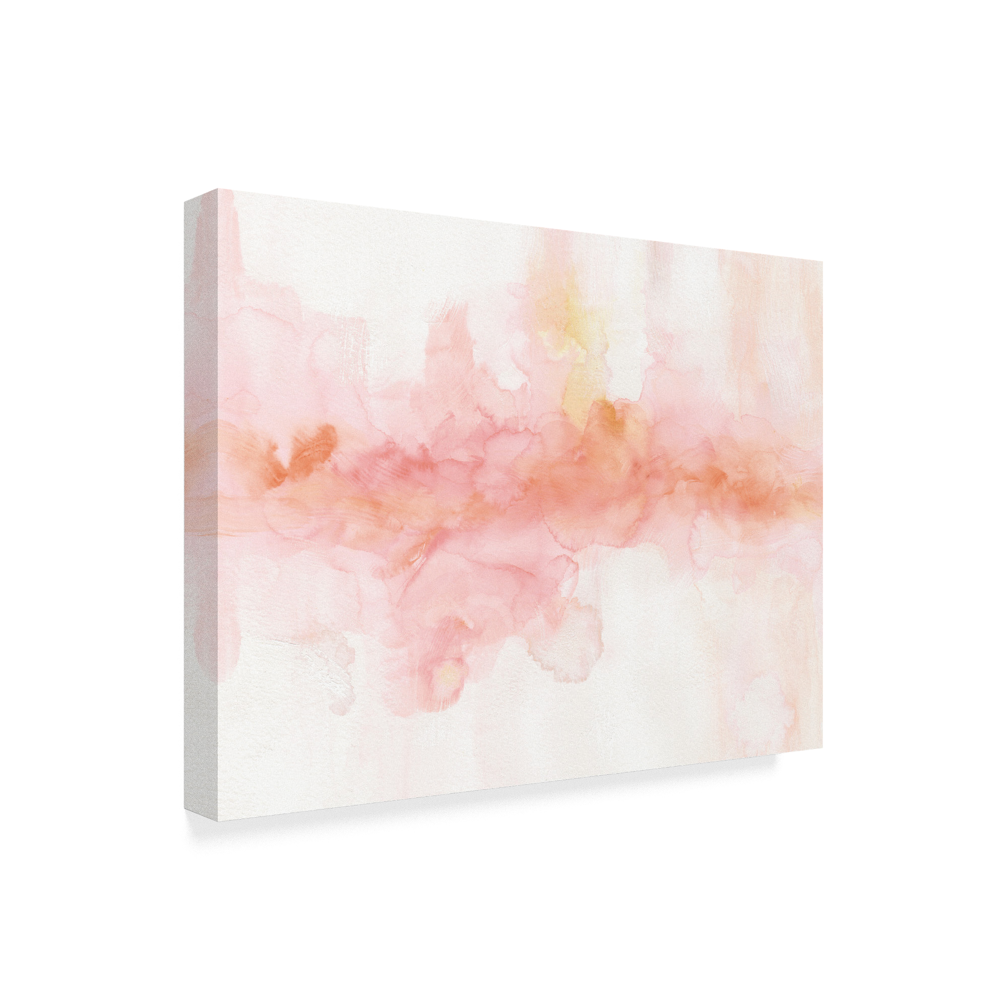 Trademark Fine Art 'Rainbow Seeds Abstract' Canvas Art by Lisa Audit