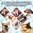 thumbnail image 2 of Kit Pasta Dientes Mascotas Cepillo Suave Cuidado Bucal, 2 of 5