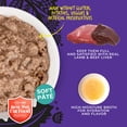 thumbnail image 6 of (6 pack) Tiki Cat After Dark Soft Pate Wet Cat Food, Lamb & Beef Liver Recipe, 5.5 oz. Can, 6 of 9