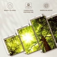 thumbnail image 6 of Elephant Stock Sunlit Cedar Forest Wall Art - Horizontal Multi Panel Canvas - Living Room Wall Decor - Floral And Botanical Multi Panel - Green And Gold Decor - 92" x 42", 6 of 8