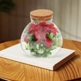 thumbnail image 4 of SEWCHICS Terrarium Rond en Verre Transparent avec Couvercle en Liège pour Succulentes en Mousse et Présentation de Micro-Paysage, 4 of 8