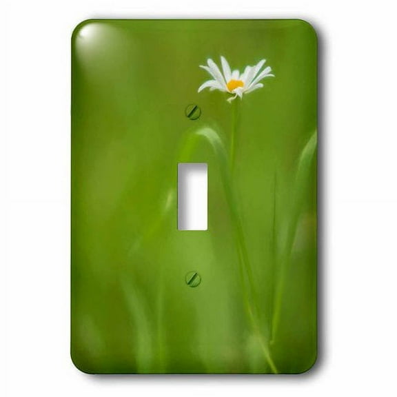 3dRose, Europe, Ireland. Daisy and leaves., single toggle switch