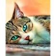 thumbnail image 1 of Kit de pintura por números DIY colorido de 40x50cm, decoración de animales de gato de ojos verdes, arte de regalo FLhrweasw Nuevo, 1 of 9