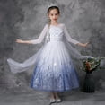 thumbnail image 2 of Girls Elsa Princess Dresses Snow Queen Costumes Cosplay Birthday Dress Up, 2 of 7