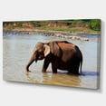thumbnail image 2 of Elephant in Water in Sri Lanka - Extra Large African Canvas Art Print, 2 of 3