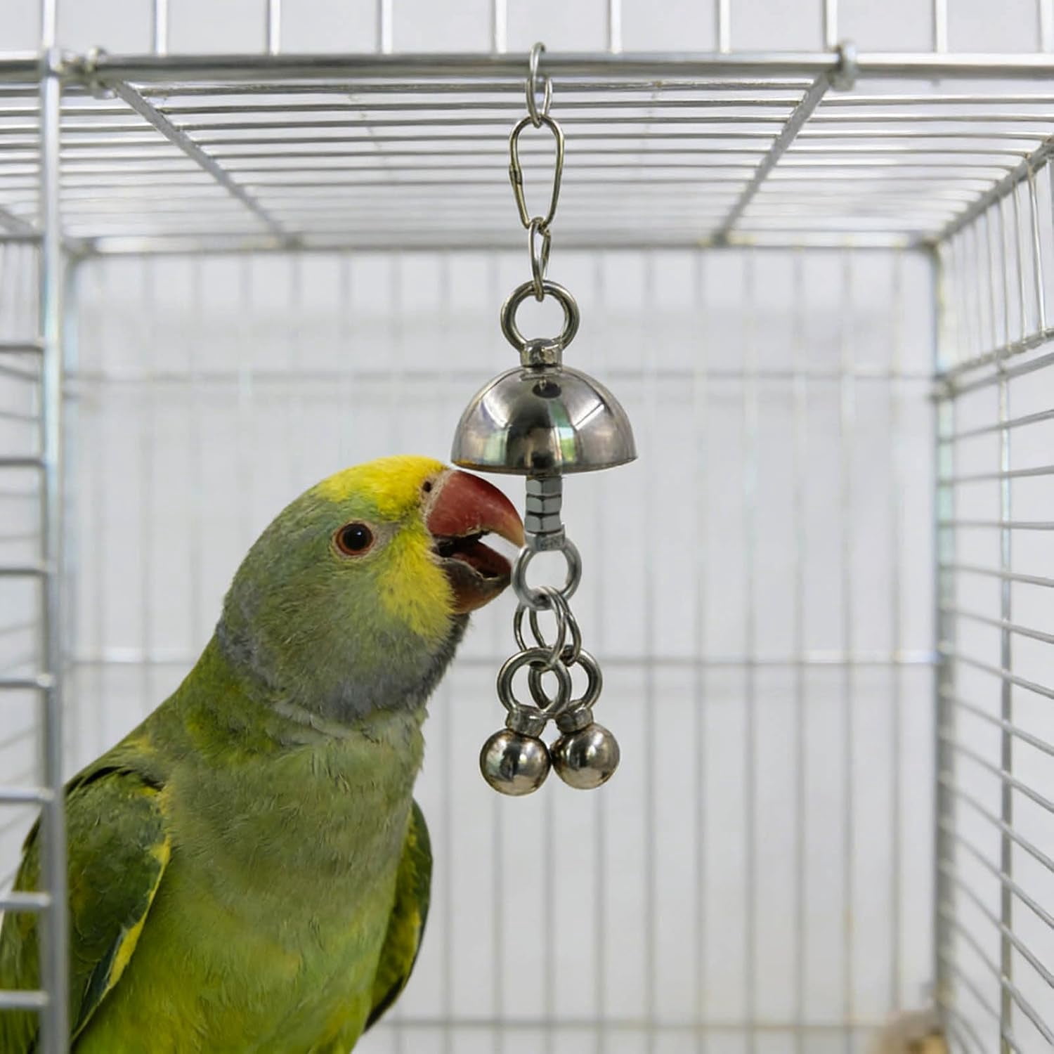 Bird Bell Toy Stainless Steel Chew Hanging for Large Parrots(Silver, Small)
