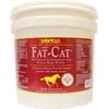 Vapco-Equine Fat-cat Body Builder 10 Pound