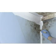 Zinsser MOLD KILLING PRIMER QT Pkg of 3 — Interior & Exterior Use, Professional Finish