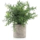 thumbnail image 1 of Mini Plastic Artificial Fake Plants Green Rosemary Fern in Pot for Home Decor Office Bathroom Desk Room Decoration, 1 of 4
