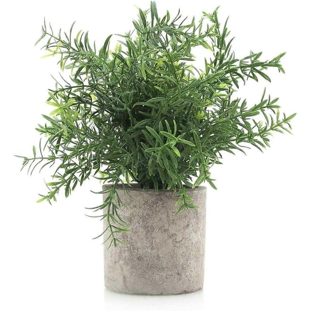 Mini Plastic Artificial Fake Plants Green Rosemary Fern in Pot for Home Decor Office Bathroom Desk Room Decoration